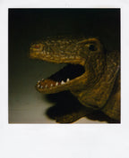 Nobuyoshi Araki <br><em>Object</em>, 2006-2009