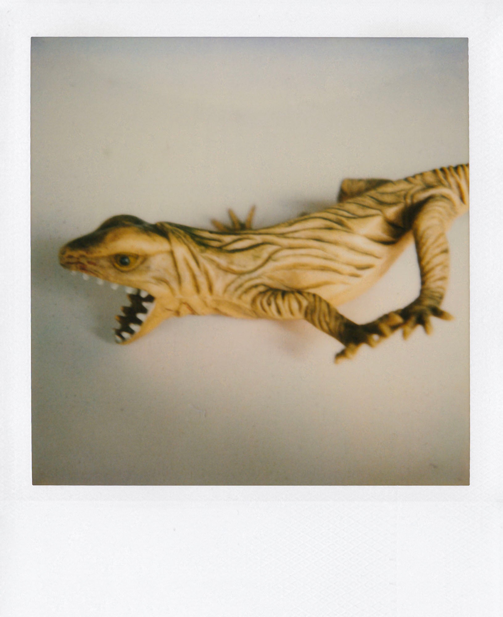 Nobuyoshi Araki <br><em>Object</em>, 2006-2009