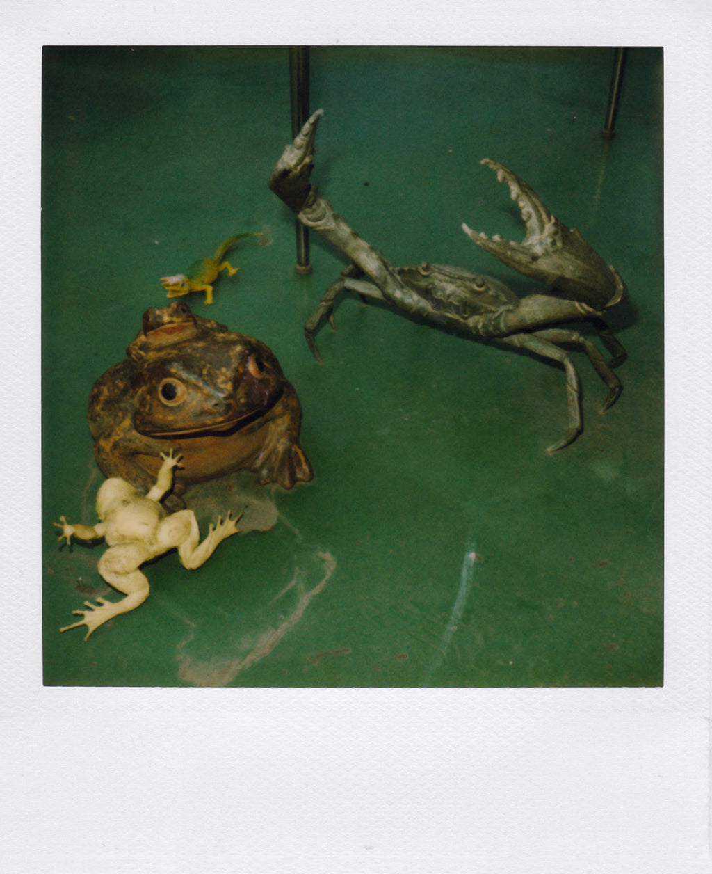 Nobuyoshi Araki <br><em>Object</em>, 2006-2009