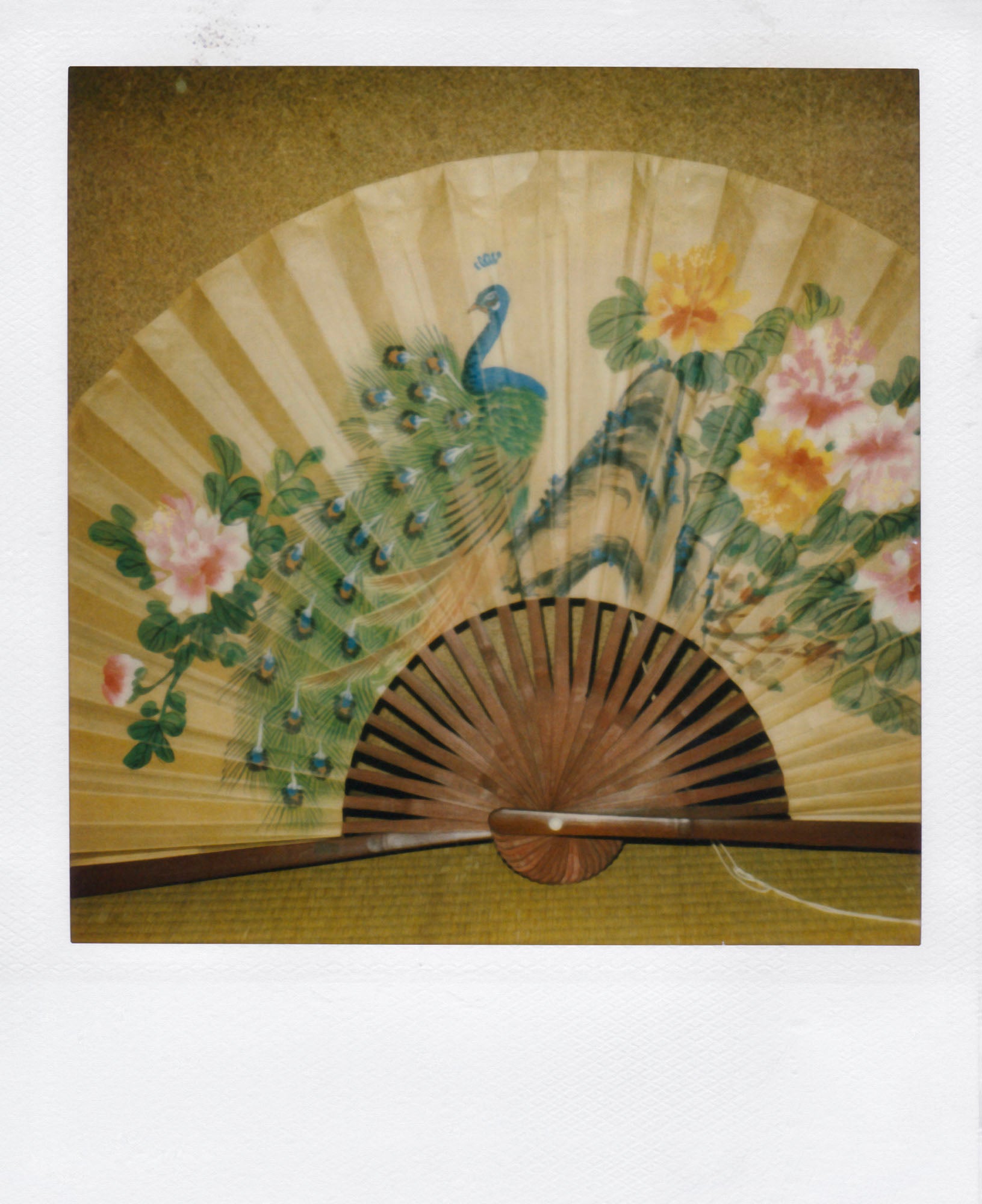 Nobuyoshi Araki <br><em>Object</em>, 2006-2009