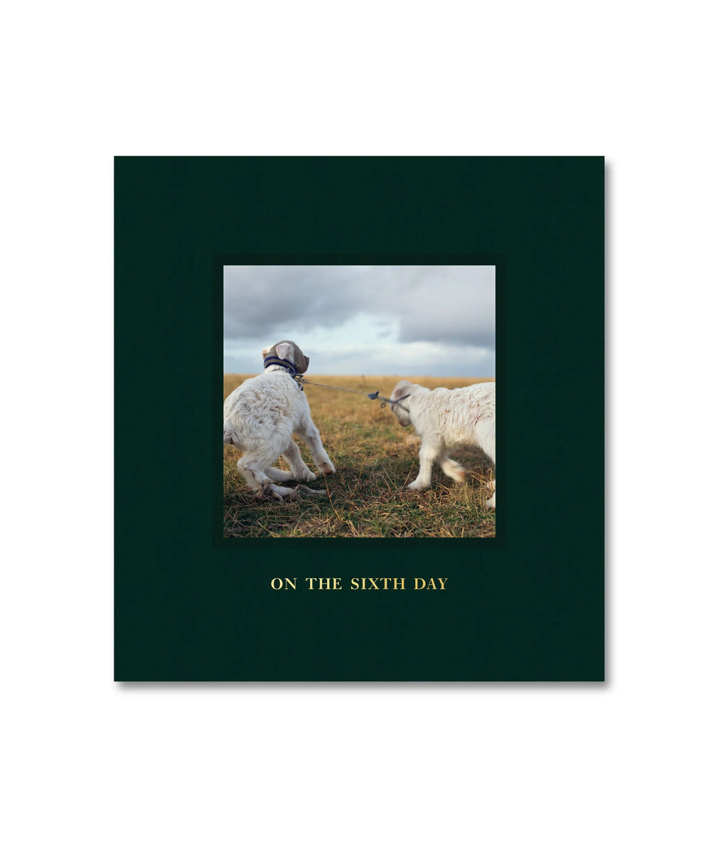 Alessandra Sanguinetti - On the Sixth Day