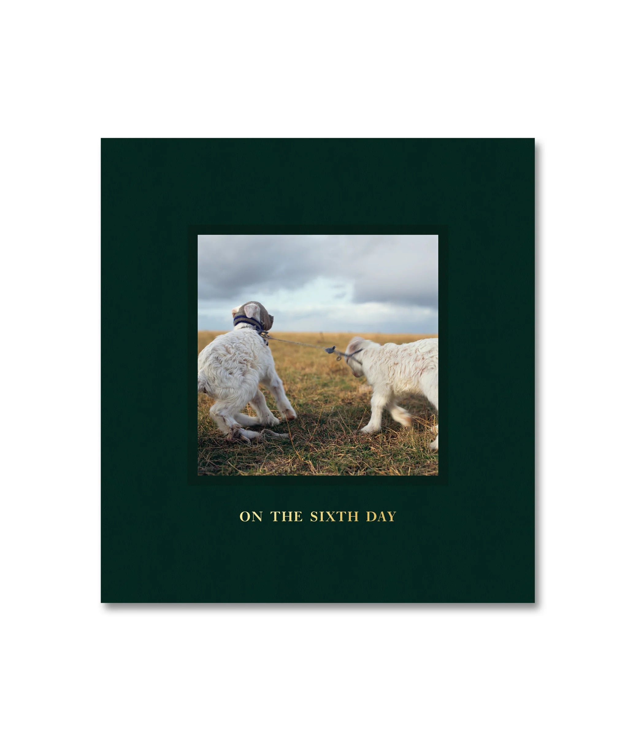 Alessandra Sanguinetti - On the Sixth Day