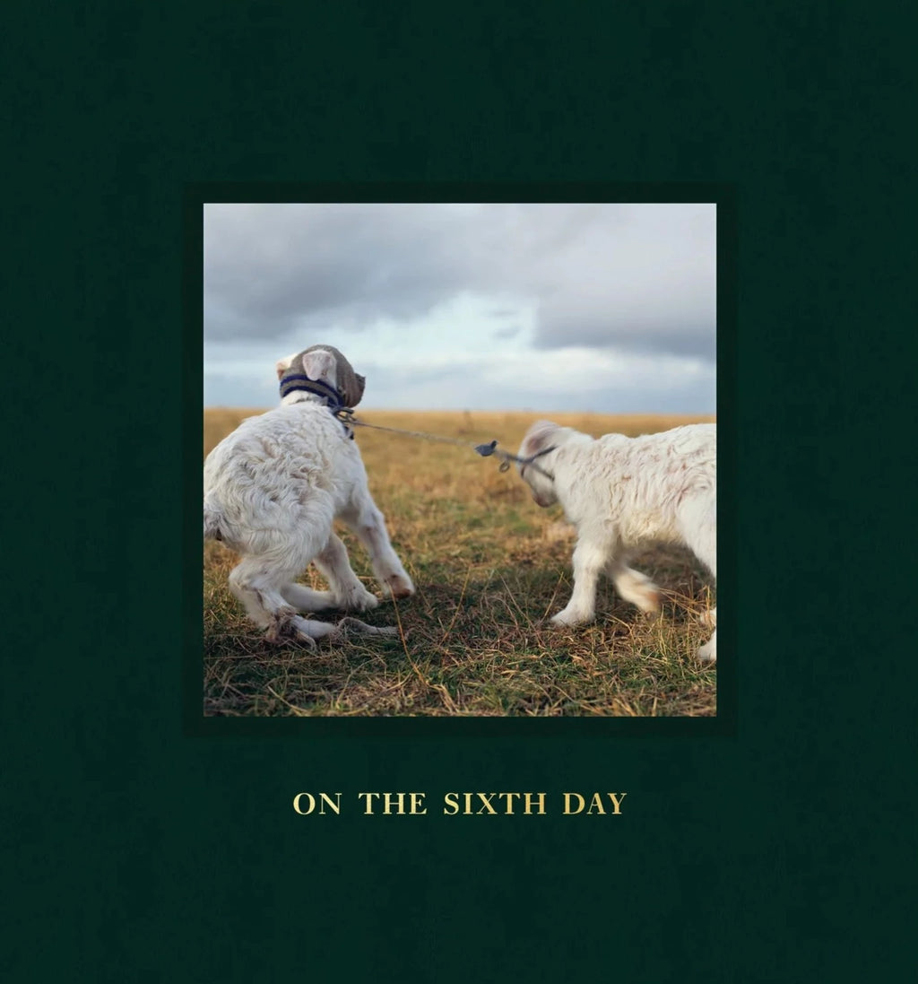 Alessandra Sanguinetti - On the Sixth Day