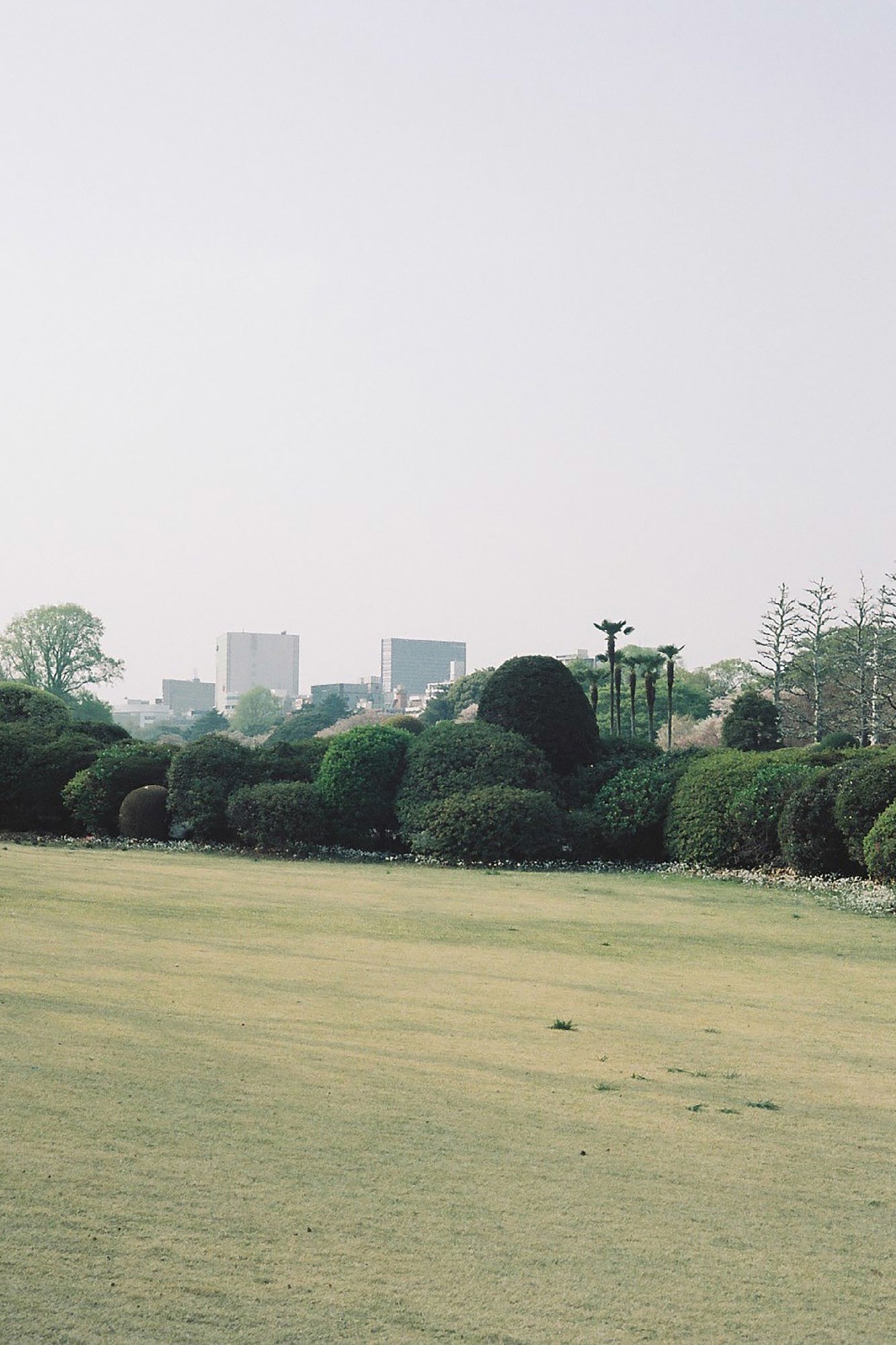 Jun Iwasaki - Over Joy, 2018