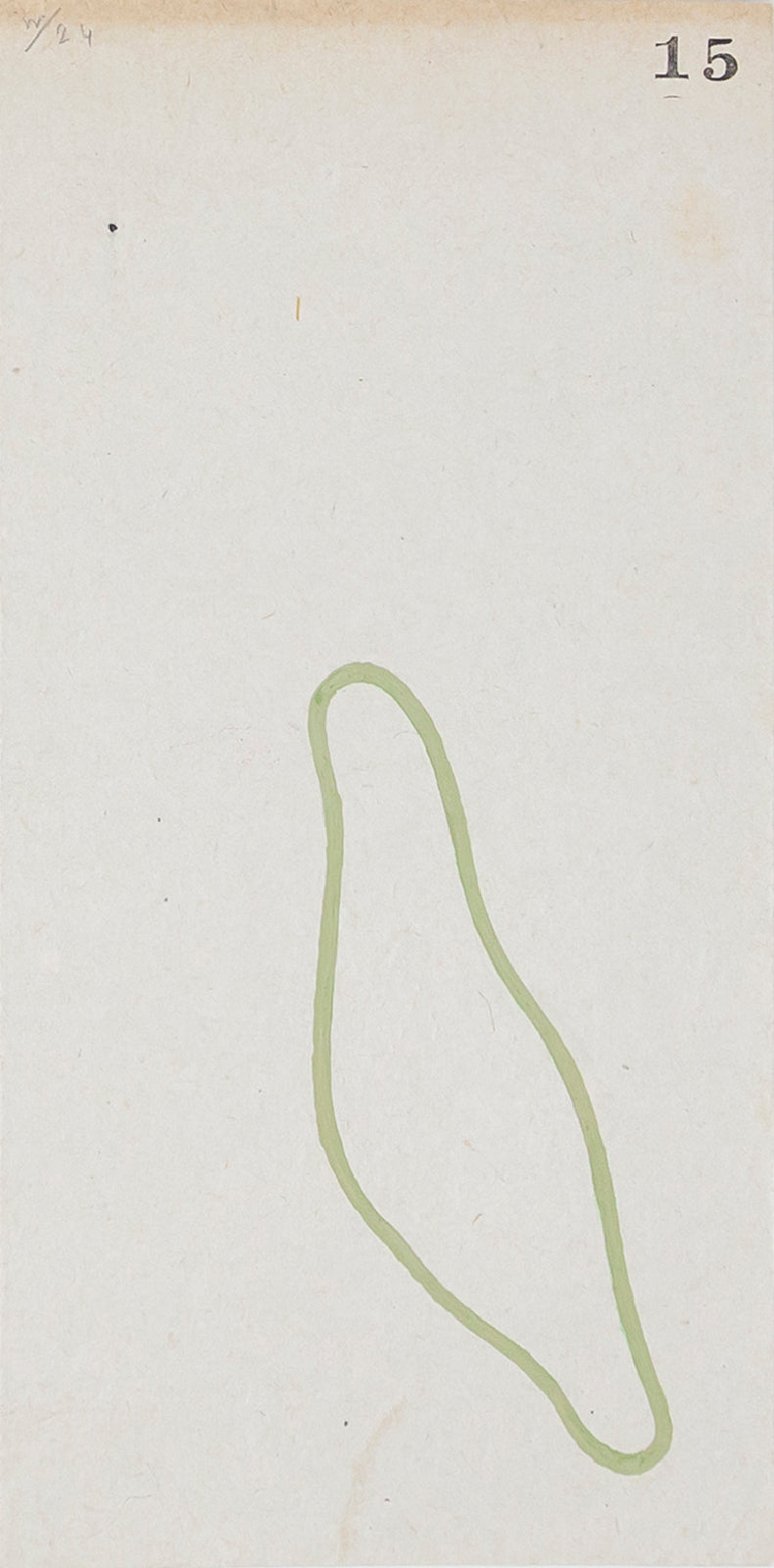 Philippe Weisbecker <br><em>Rubber Bands</em>, 2024