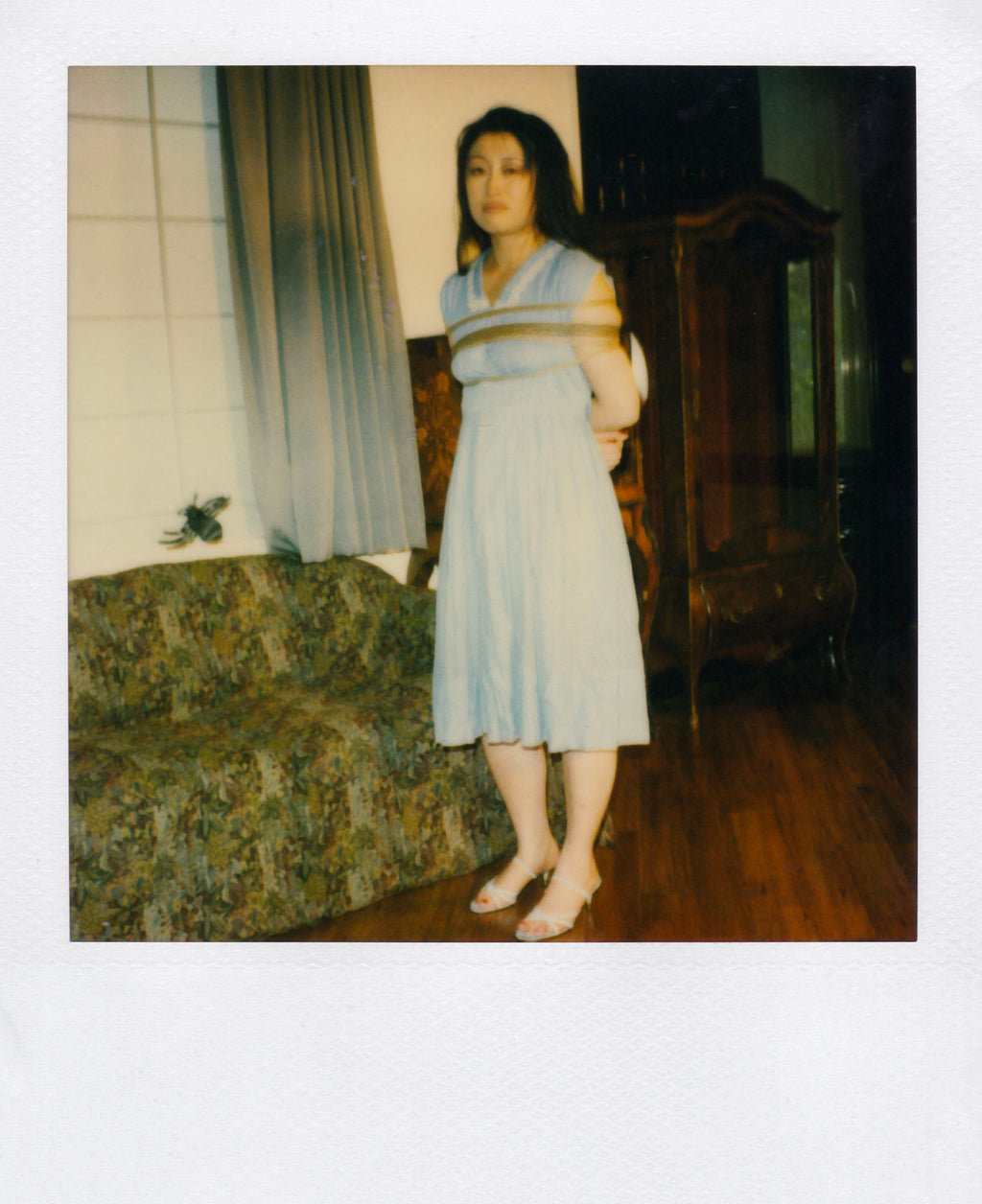 Nobuyoshi Araki <br><em>Pola eros</em>, 2006-2009