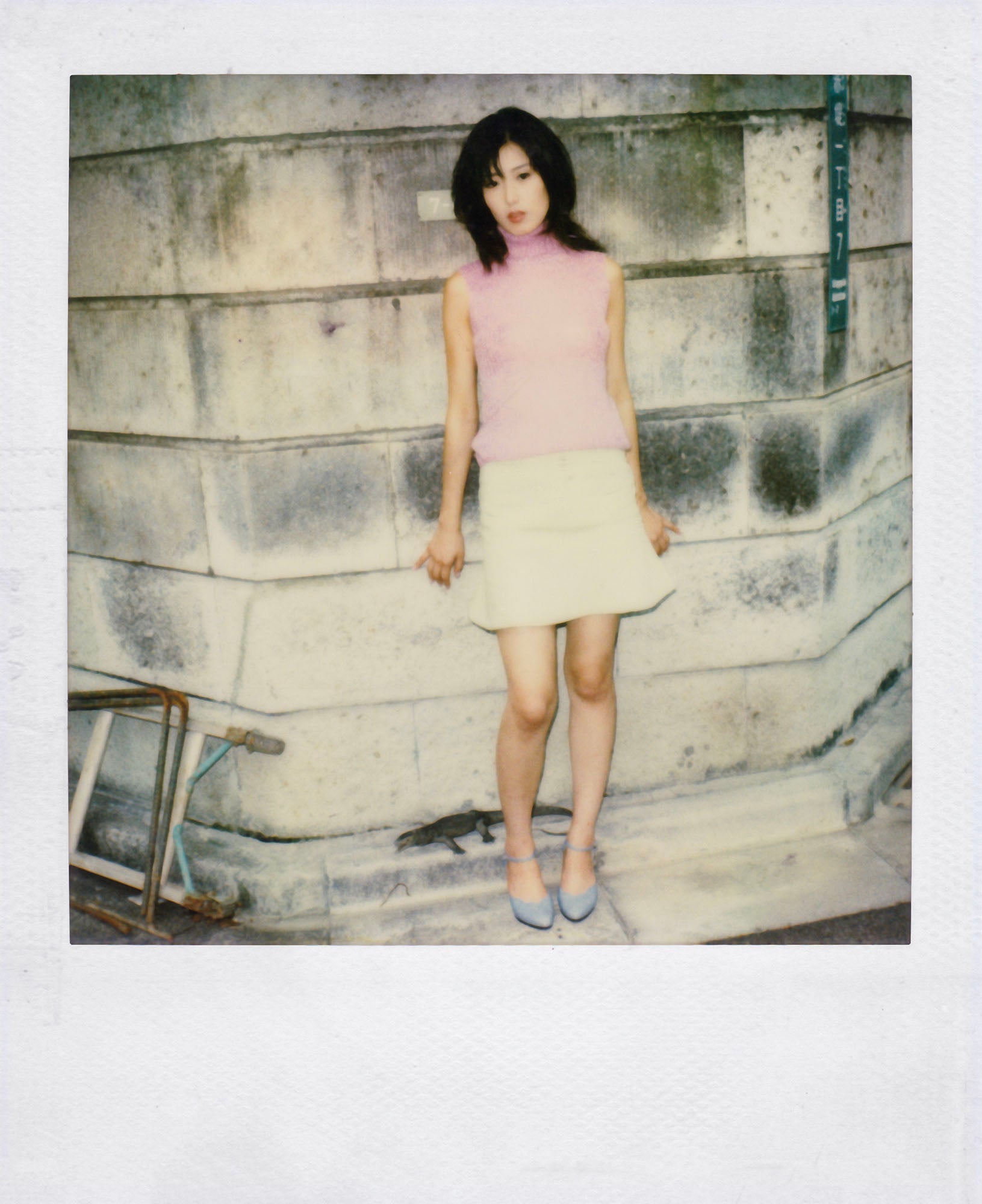 Nobuyoshi Araki <br><em>Pola eros</em>, 2006-2009