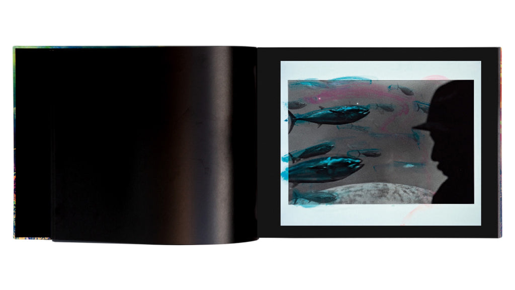 Masahisa Fukase - Private Scenes