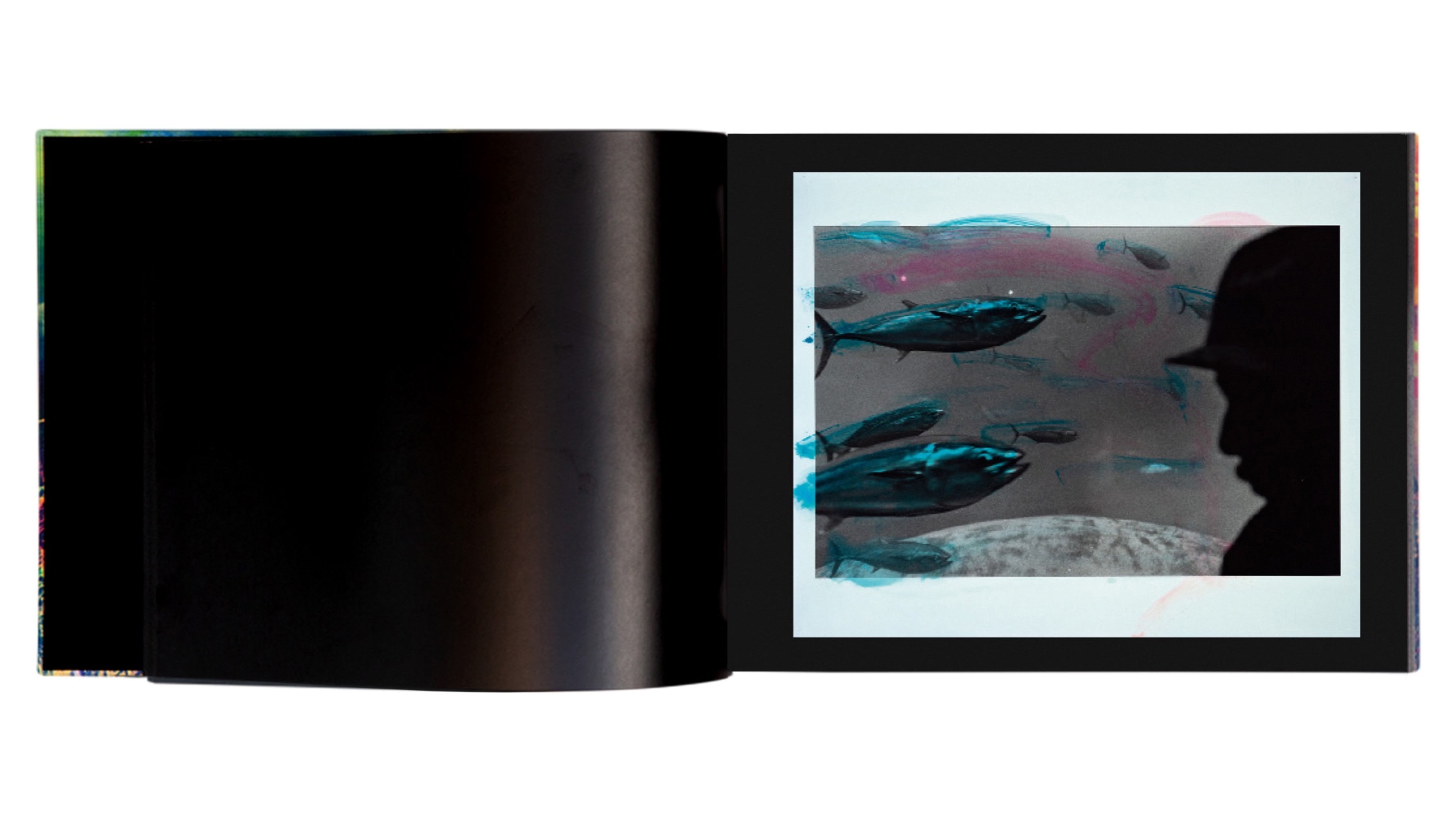 Masahisa Fukase - Private Scenes