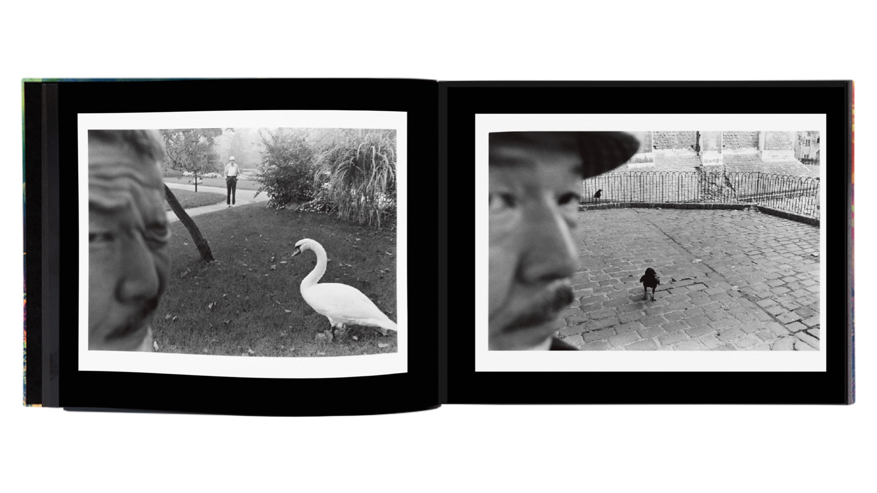 Masahisa Fukase - Private Scenes