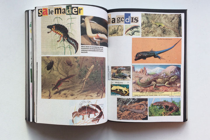 Lous Martens - Animal Books For Jaap, Zeno, Anna, Julian & Luca