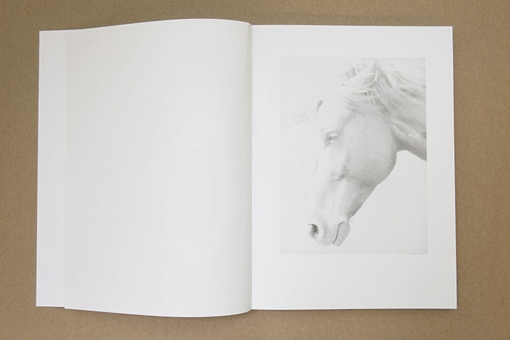 Jochen Lempert - Paare / Pairs