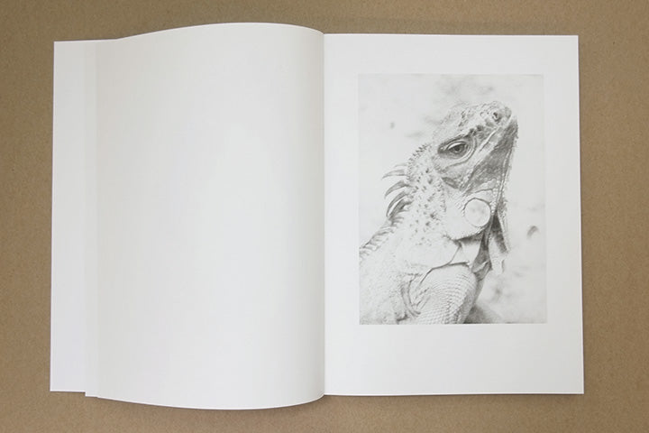 Jochen Lempert - Paare / Pairs