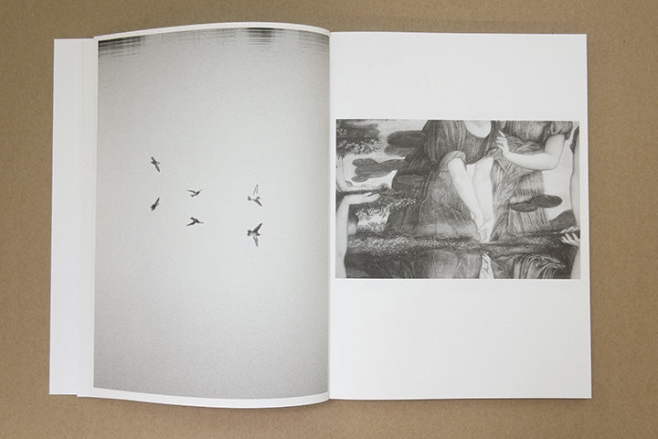 Jochen Lempert - Paare / Pairs