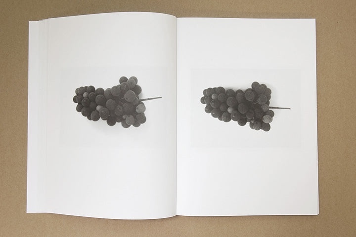 Jochen Lempert - Paare / Pairs