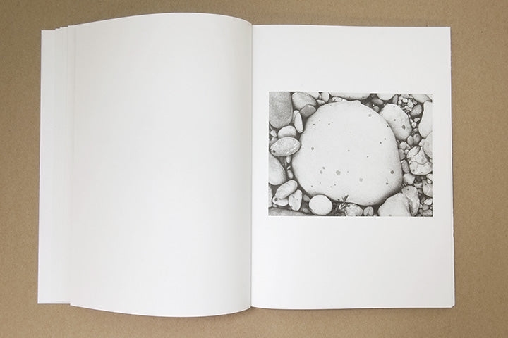 Jochen Lempert - Paare / Pairs