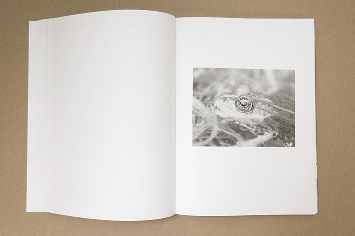 Jochen Lempert - Paare / Pairs