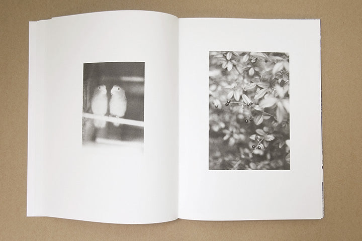 Jochen Lempert - Paare / Pairs