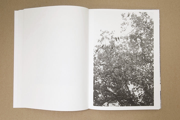 Jochen Lempert - Paare / Pairs