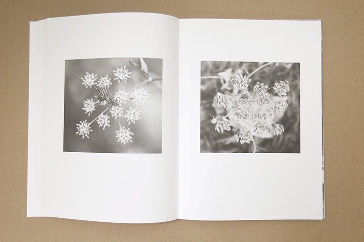 Jochen Lempert - Paare / Pairs