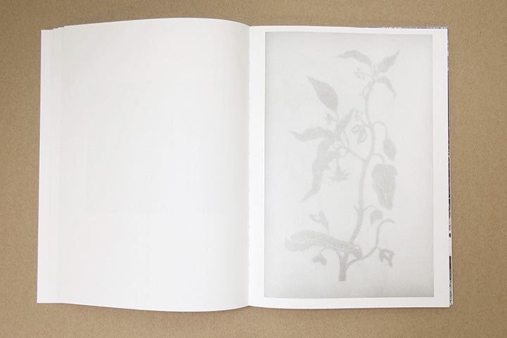 Jochen Lempert - Paare / Pairs