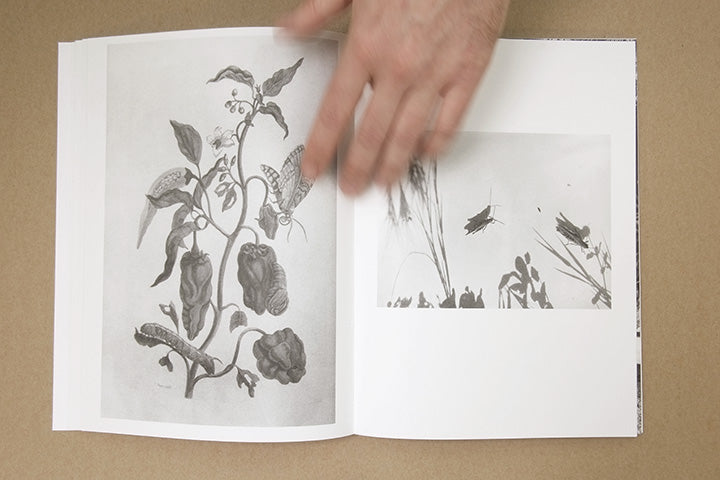 Jochen Lempert - Paare / Pairs