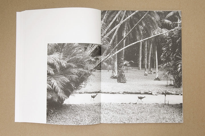 Jochen Lempert - Paare / Pairs