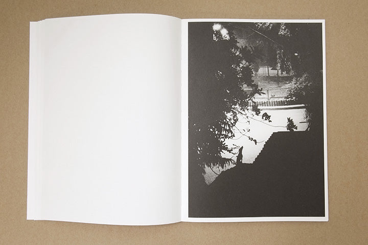 Jochen Lempert - Paare / Pairs