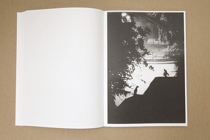 Jochen Lempert - Paare / Pairs