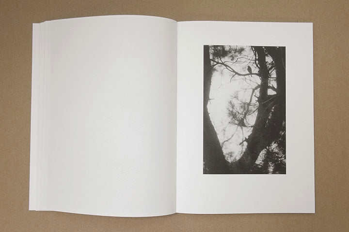 Jochen Lempert - Paare / Pairs