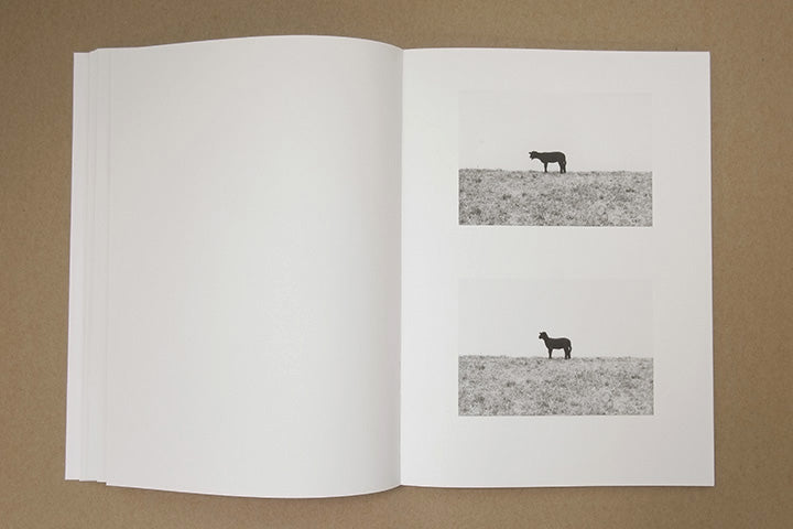 Jochen Lempert - Paare / Pairs