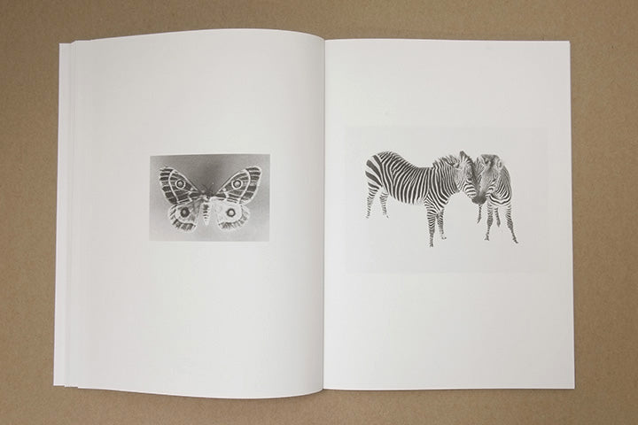 Jochen Lempert - Paare / Pairs