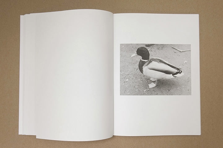 Jochen Lempert - Paare / Pairs