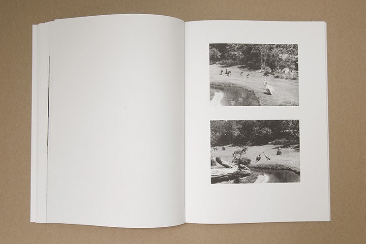 Jochen Lempert - Paare / Pairs