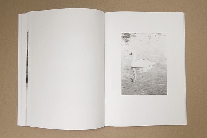 Jochen Lempert - Paare / Pairs