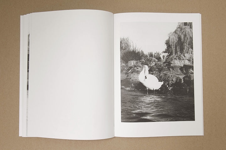 Jochen Lempert - Paare / Pairs