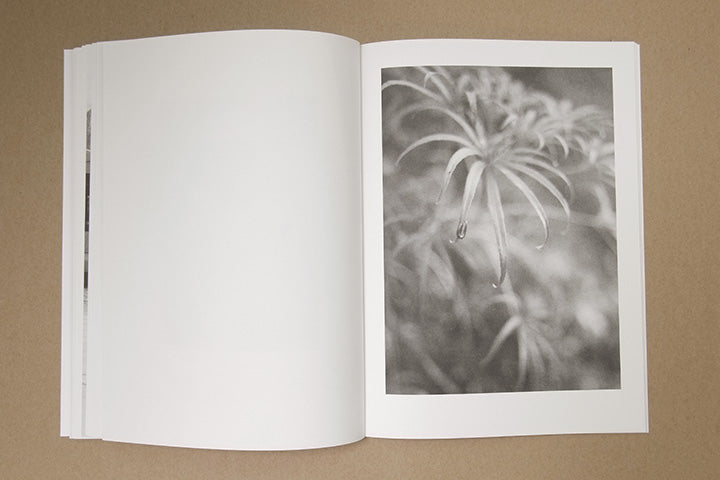 Jochen Lempert - Paare / Pairs