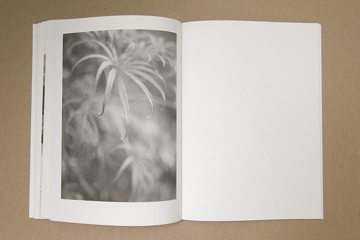 Jochen Lempert - Paare / Pairs