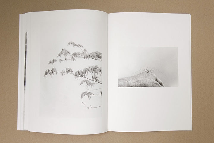 Jochen Lempert - Paare / Pairs