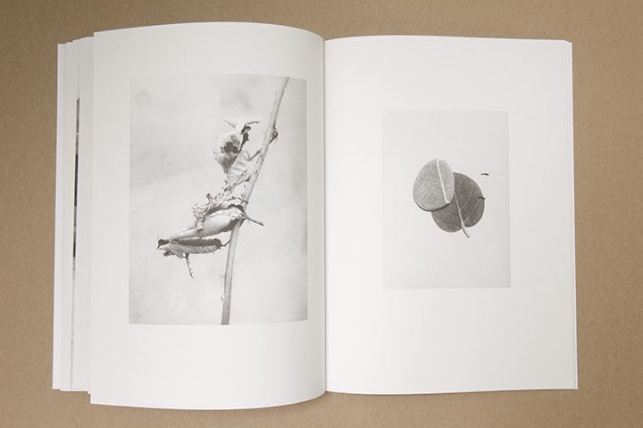 Jochen Lempert - Paare / Pairs