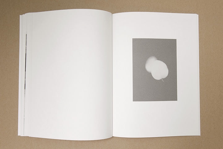 Jochen Lempert - Paare / Pairs