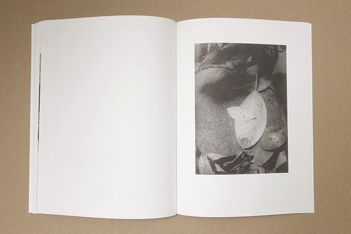 Jochen Lempert - Paare / Pairs