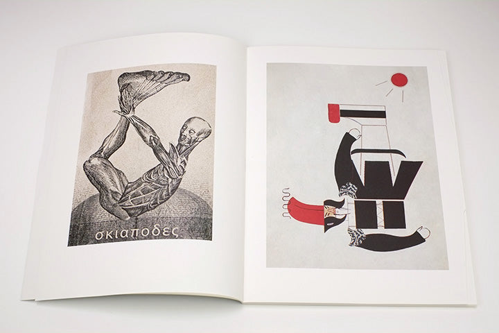 Mark Manders - La Scomparsa degli Sciapodi