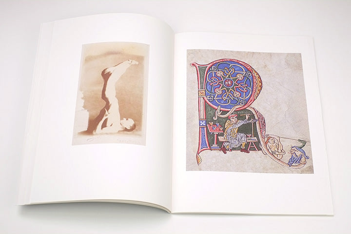 Mark Manders - La Scomparsa degli Sciapodi