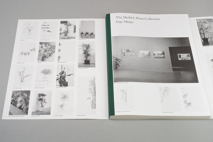 Inge Meijer - The MoMA Plant Collection