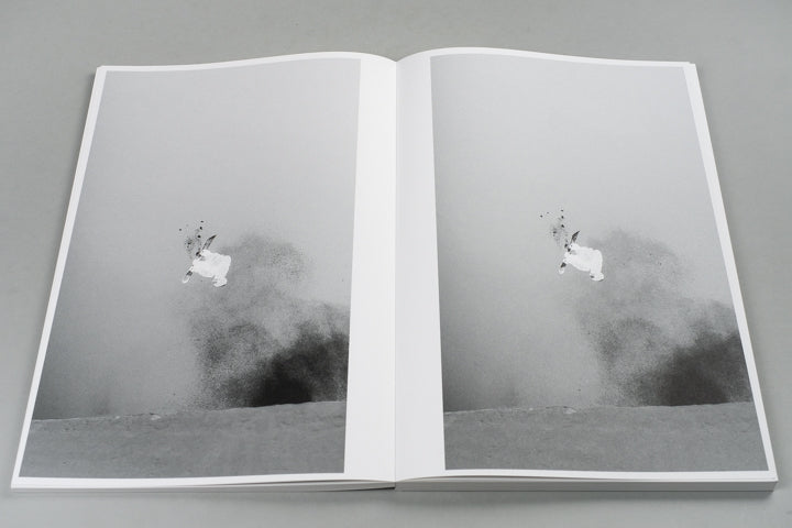 Ari Marcopoulos - Black Snow (3.2 seconds 60 fps)