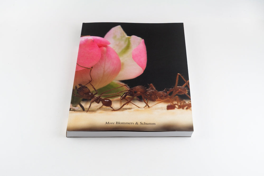 Blommers & Schumm - More