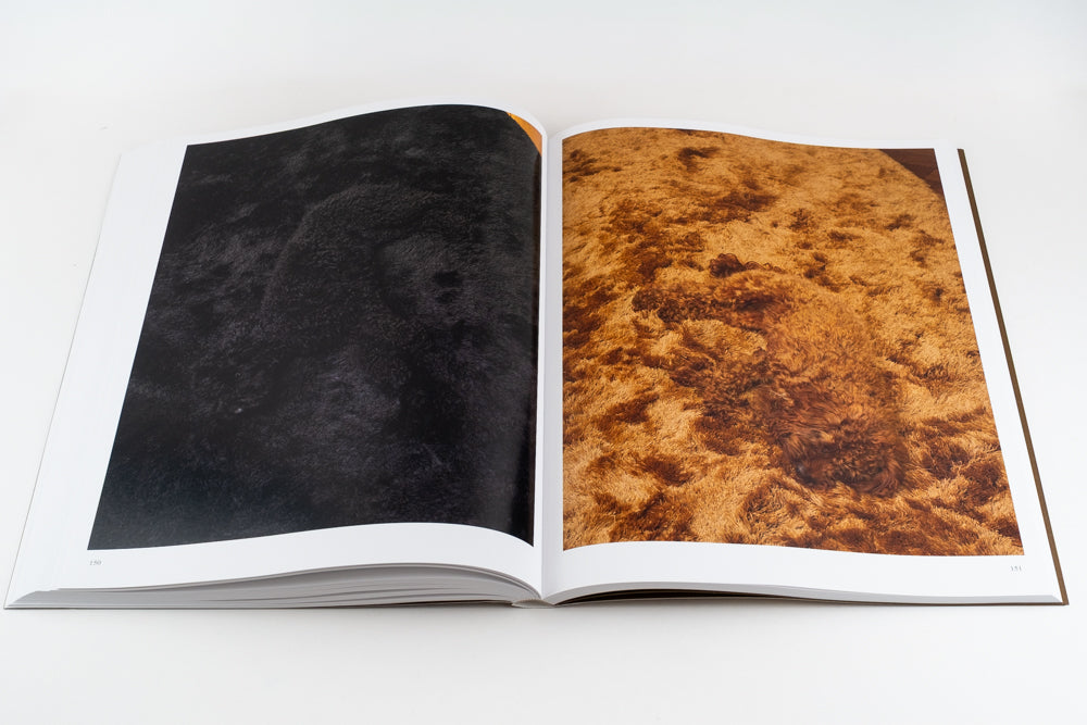 Blommers & Schumm - More