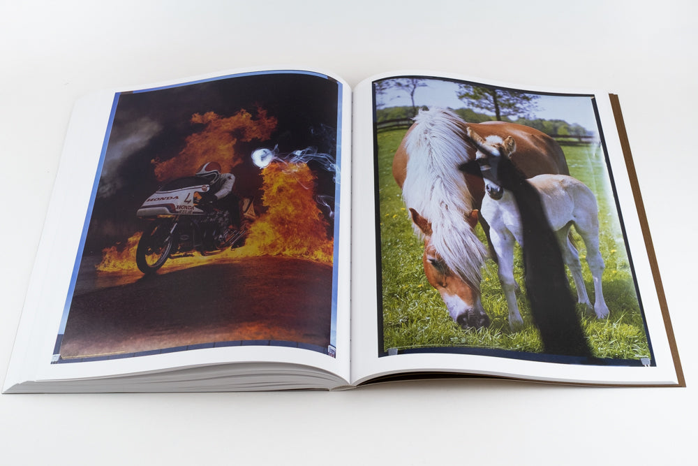 Blommers & Schumm - More