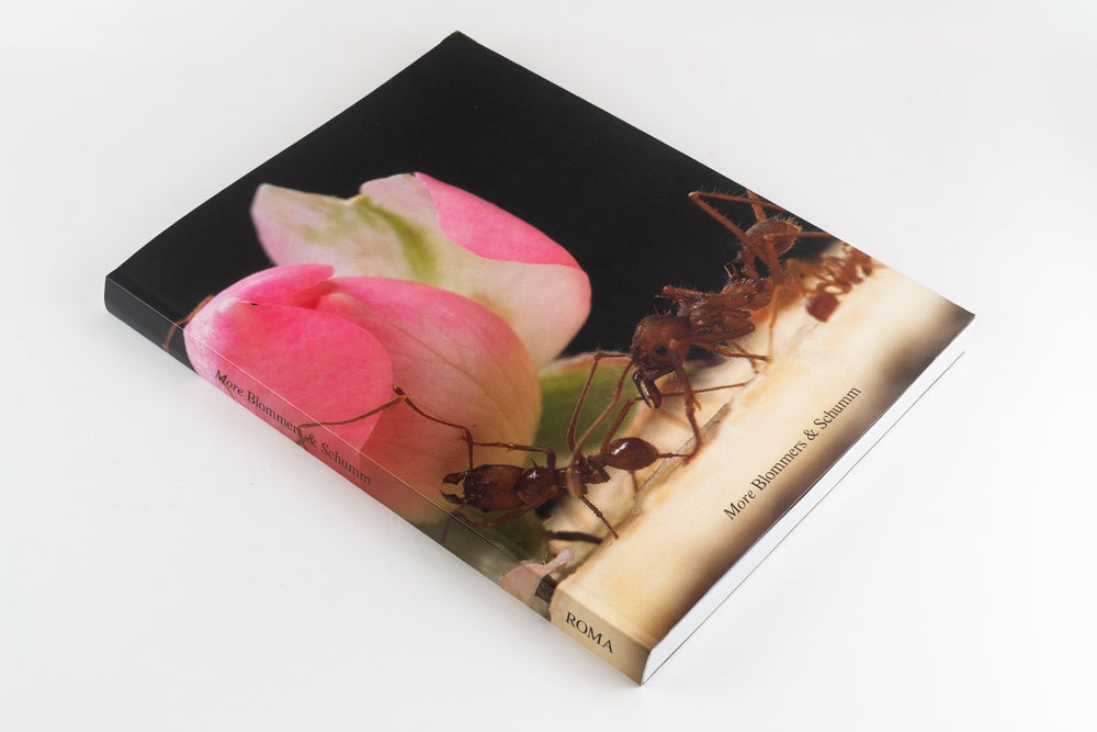 Blommers & Schumm - More